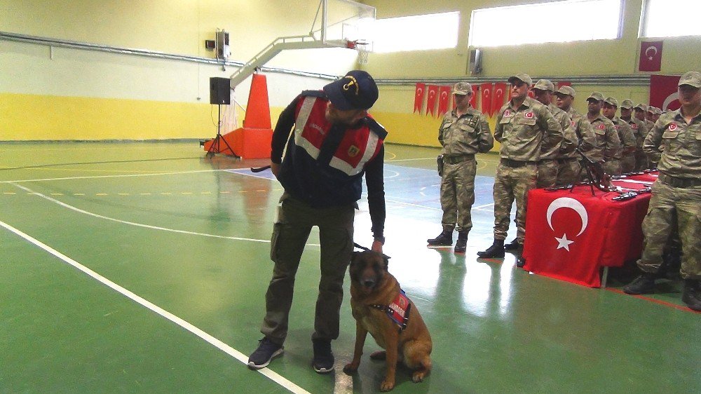 Korucuların Yemin Töreninde Jandarma Köpeklerinin Gösterisi Büyük Beğeni Topladı