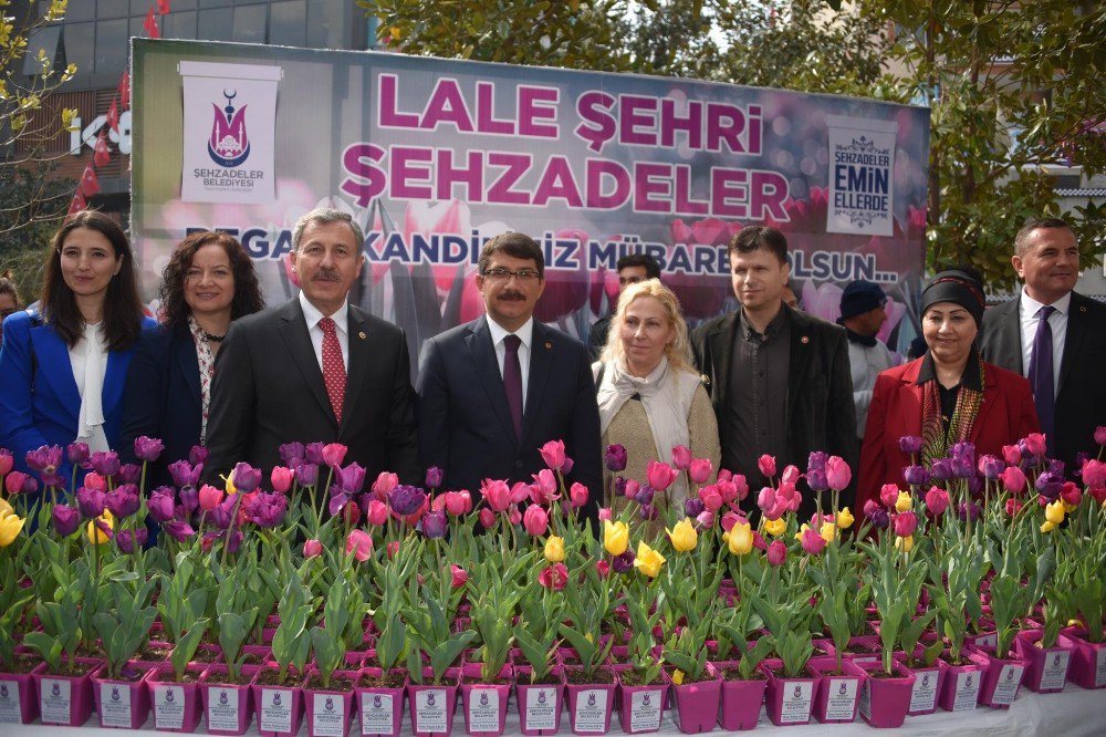 Şehzadeler’den Vatandaşlara 2 Bin Adet Lale Soğanı