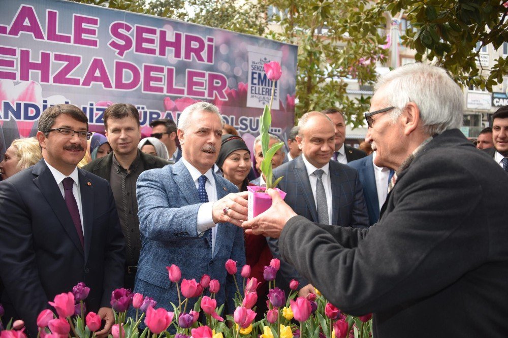 Şehzadeler’den Vatandaşlara 2 Bin Adet Lale Soğanı