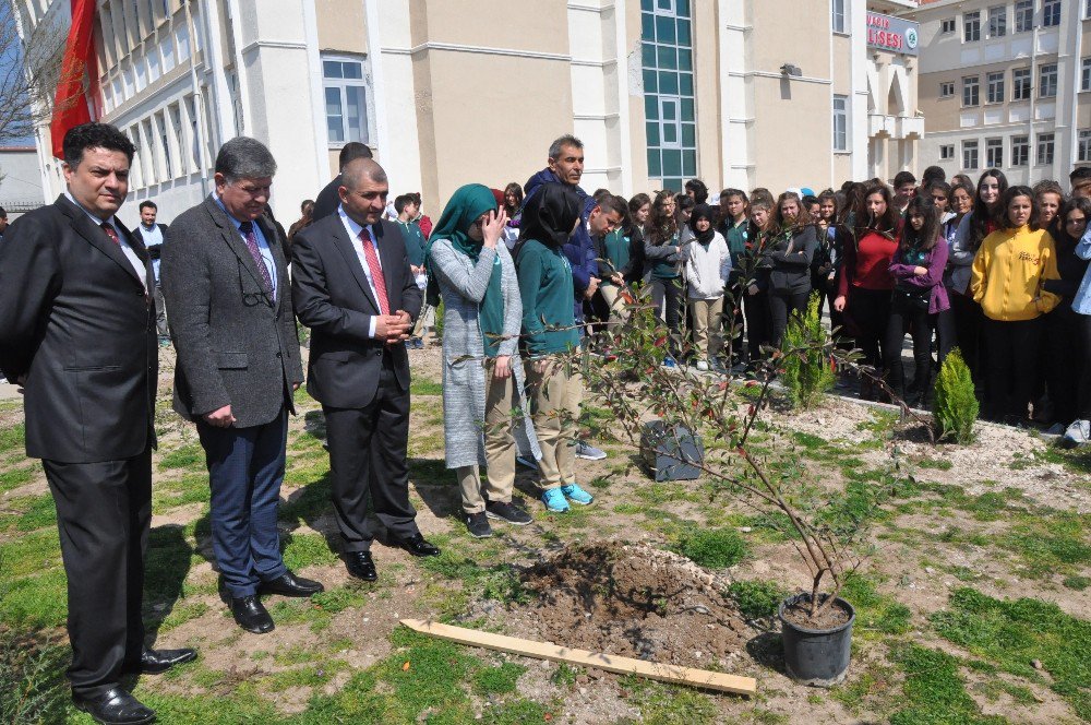 Fen Lisesi Öğrencileri Okul Bahçesine Fidan Dikti