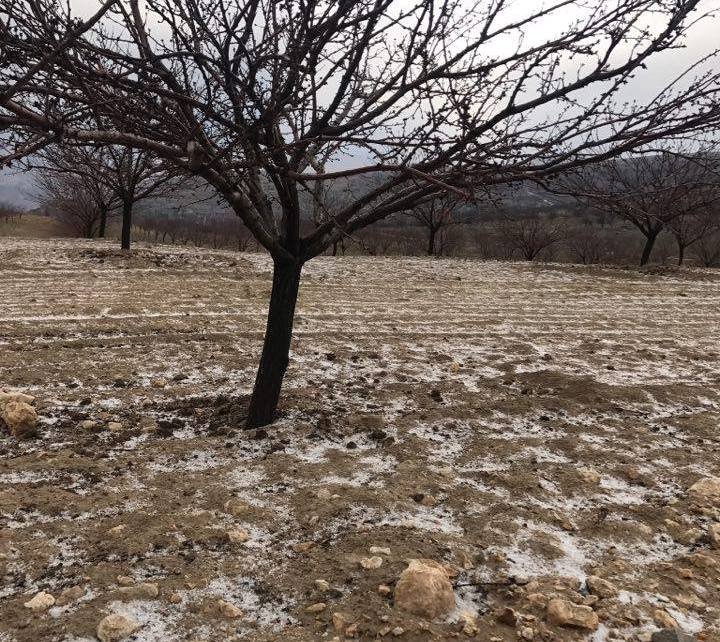 Malatya’nın Akçadağ İlçesinde Dolu Etkili Oldu