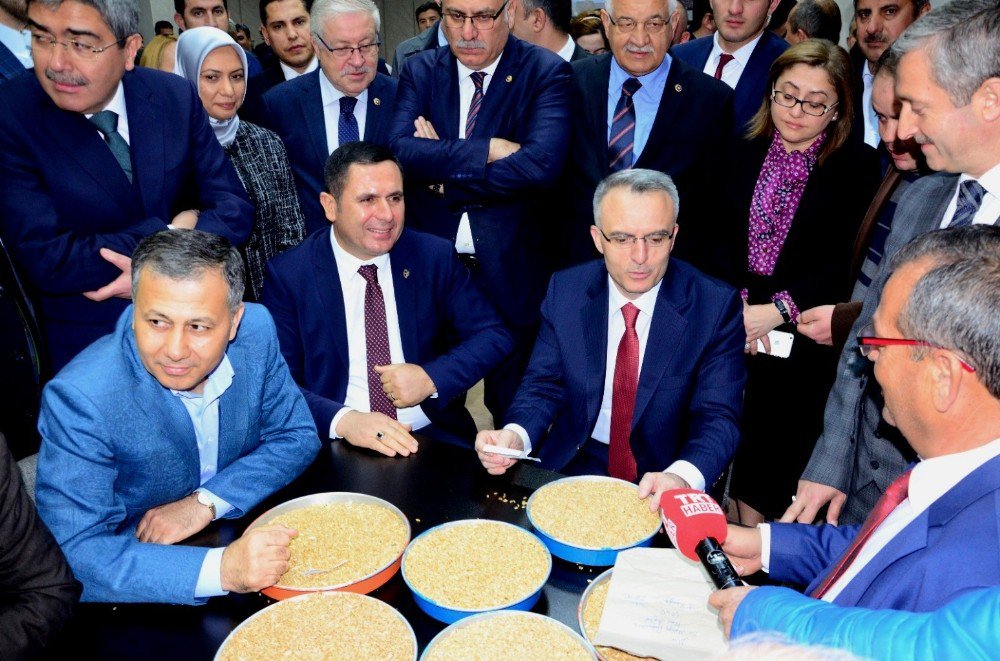 Günün İlk Buğday Satışı Bakan Ağbal’dan