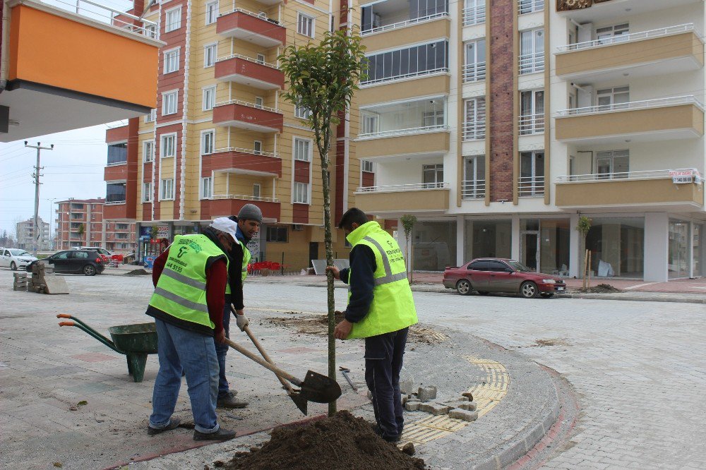 Tekkeköy Yeşille Bütünleşiyor