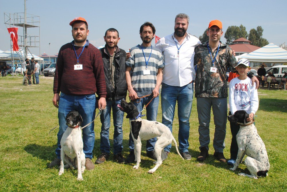 Aydın’da Köpekler Podyuma Çıktı