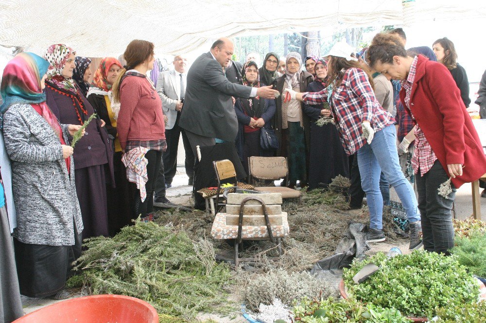 Tarım İlçe Müdürlüğünden Devrekli Çiftçilere Teknik Gezi