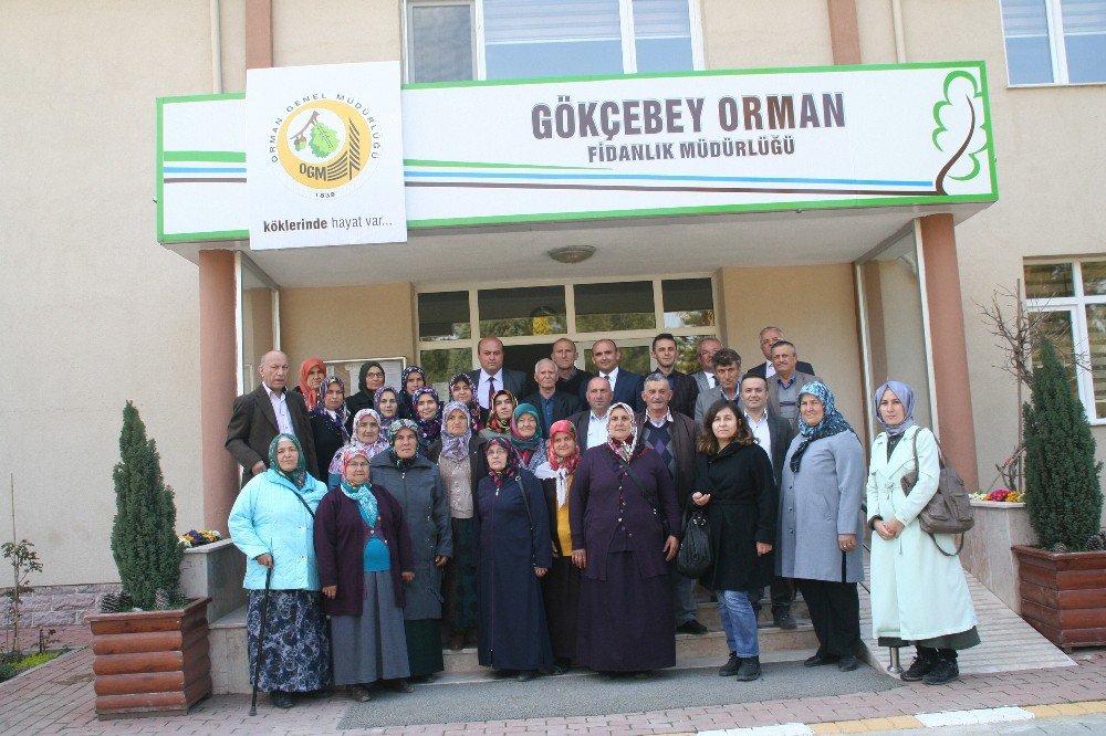 Tarım İlçe Müdürlüğünden Devrekli Çiftçilere Teknik Gezi