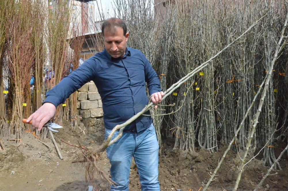 25 Yıllık Baba Mesleğiyle Hem Para Kazanıyor Hem De Çevreyi Güzelleştiriyor