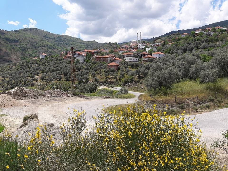 Beslediği Boğa Katili Oldu