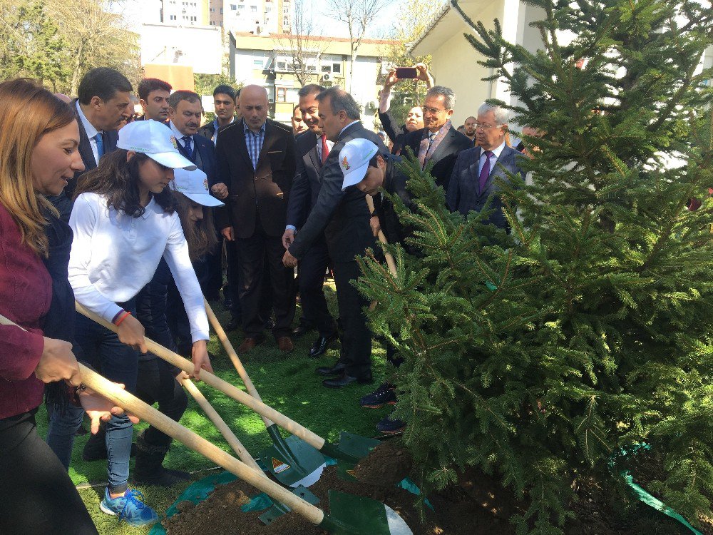 Bakan Eroğlu: Ataköy’de Fidan Dikim Törenine Katıldı