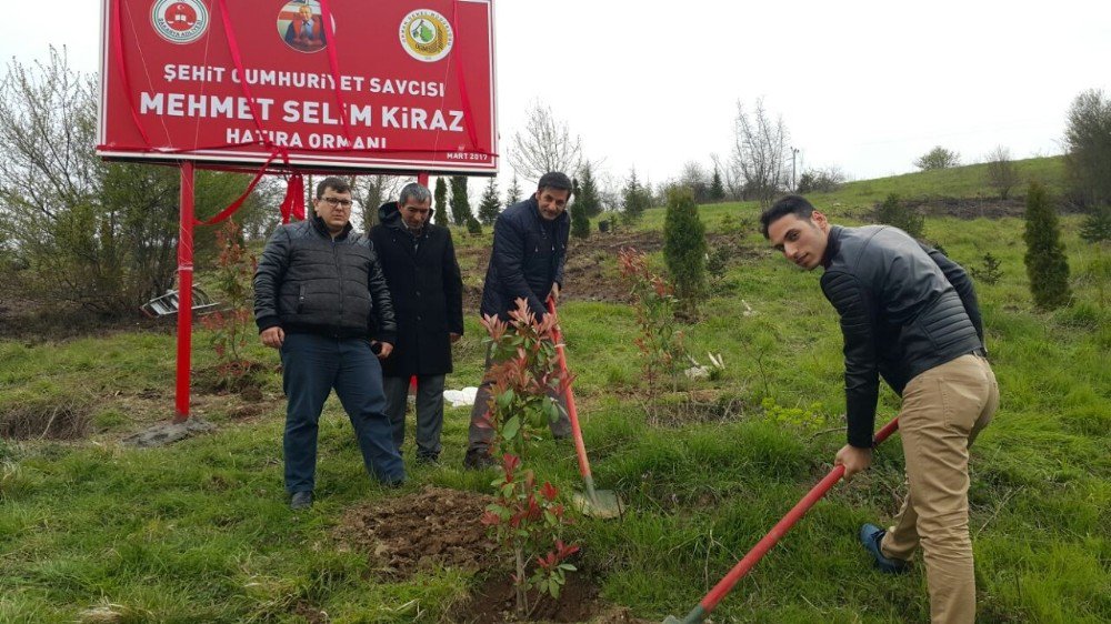 Hendek’te Şehit Savcı Kiraz İçin Hatıra Ormanı