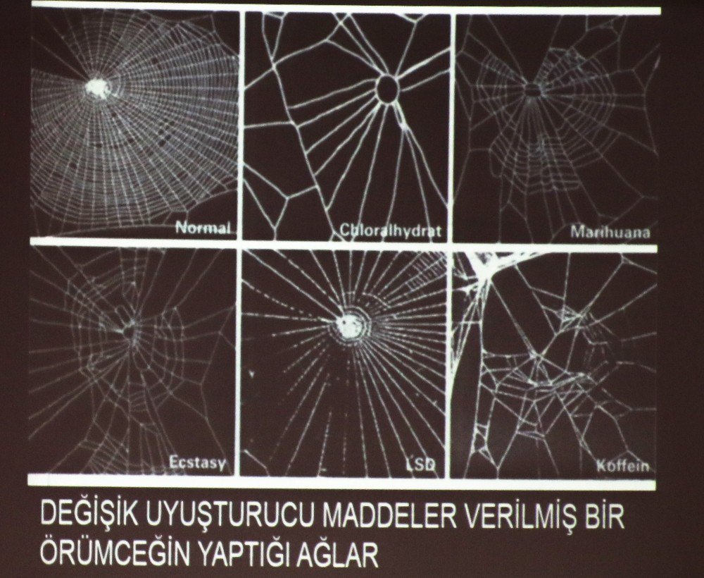 Türkiye’de Tütün Ve Tütün Ürünlerinin Ülkeye Maliyeti 50 Milyar Dolar