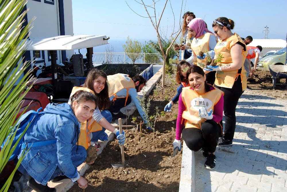 Gönüllü Gençler Kampüste Çevre Temizliği Yaptı