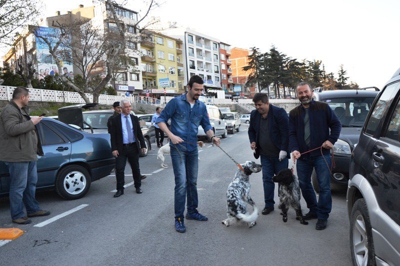 Biga’da Av Köpekleri Aşılandı