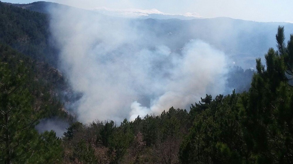 Kastamonu’da Orman Yangınları