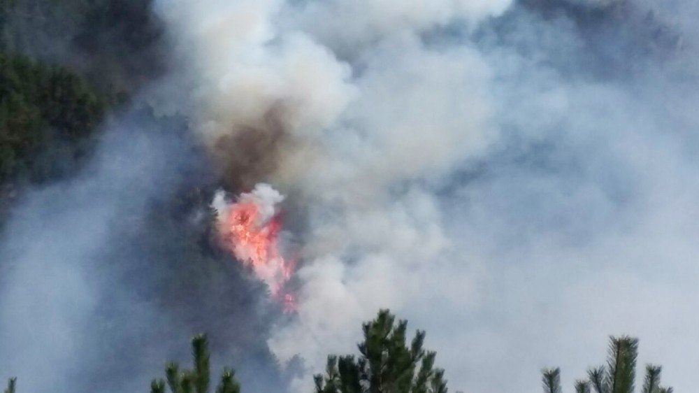 Kastamonu’da Orman Yangınları