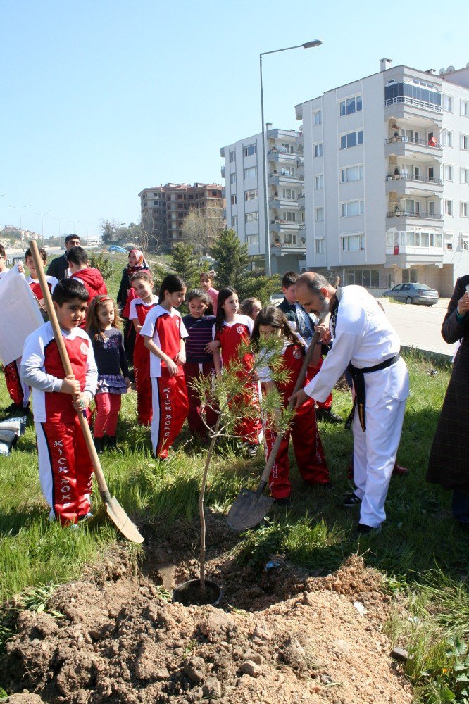 Tekvandocular Fidan Dikti