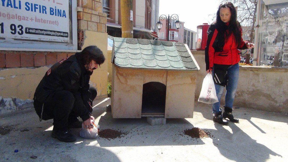 Motosiklet Grubu Kuran Kadınlar Sokak Hayvanları İçin Gazladılar