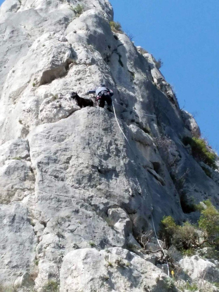 Kayalıklarda Mahsur Kalan Keçi Kurtarıldı