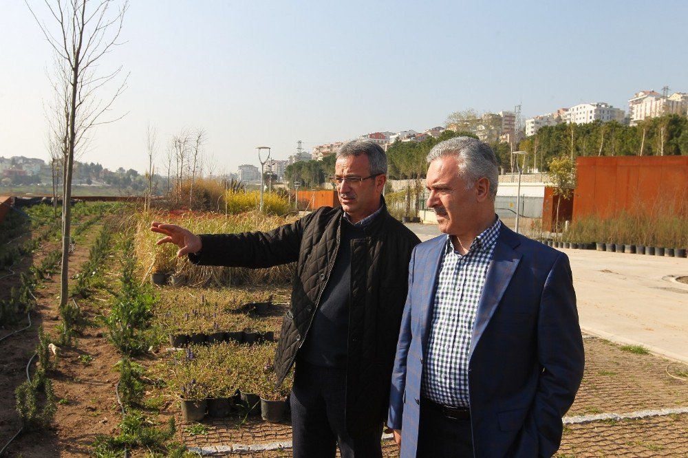 Başkan Köşker, Ak Parti Genel Başkan Yardımcısı Ataş’ı Ağırladı