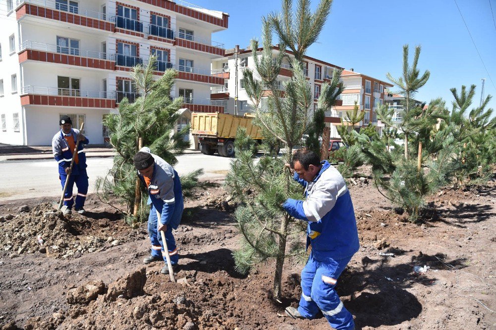 Altındağ Yeşile Bürünüyor