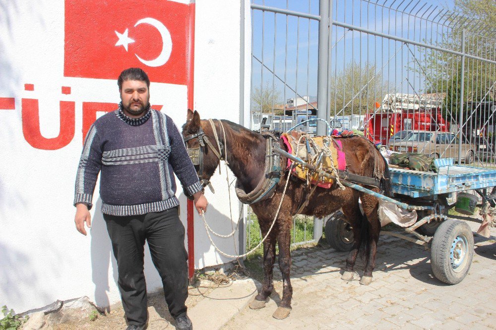 İncirliovalı At Arabacıları Dert Taşımaya Başladı