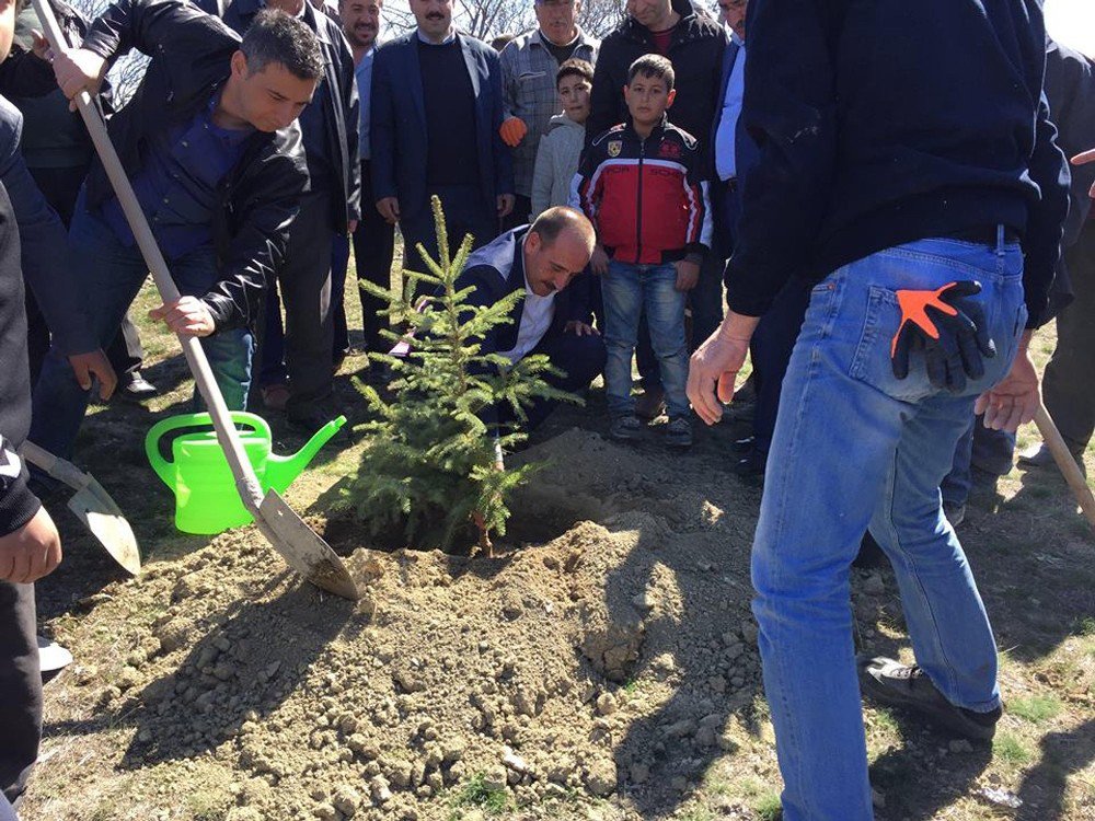 Başkan Duruay Vatandaşlarla Fidan Dikti