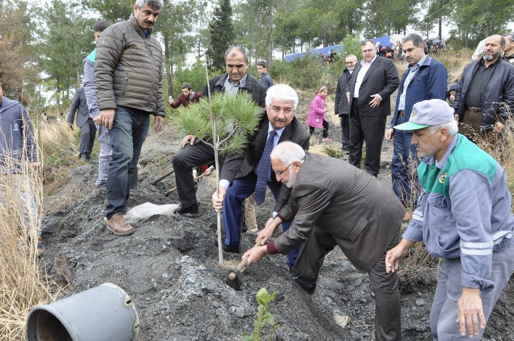 Şehit Polis Erin Anısına Hatıra Ormanı Kuruldu