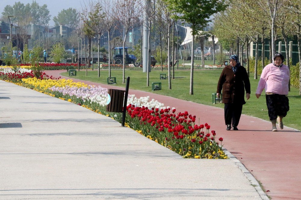 Manisa’daki Renk Cümbüşü Büyülüyor