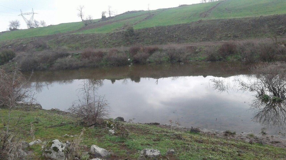 Hayvan İçme Suyu Göletleri Temizleniyor