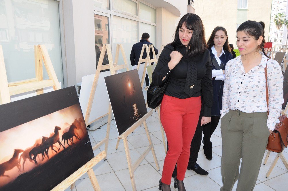 Mersin Barosu Erdemli’de Fotoğraf Sergisi Açtı