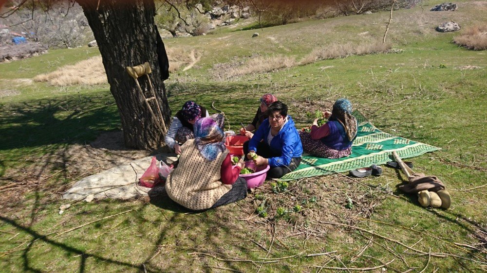 Burhaniyeli Şampiyona Yaylada Sürpriz Doğum Günü