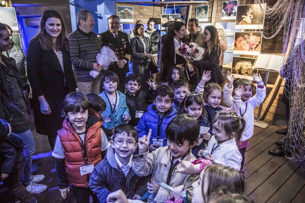 Sualtının Büyülü Dünyası Deniz Müzesi’nde