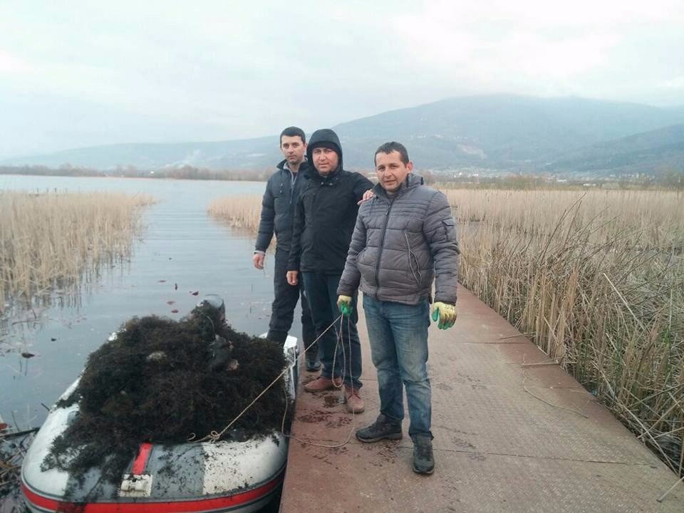 Sapanca Gölü’nde Ağa Takılan Çok Sayıda Balık Ve Ördek Telef Oldu