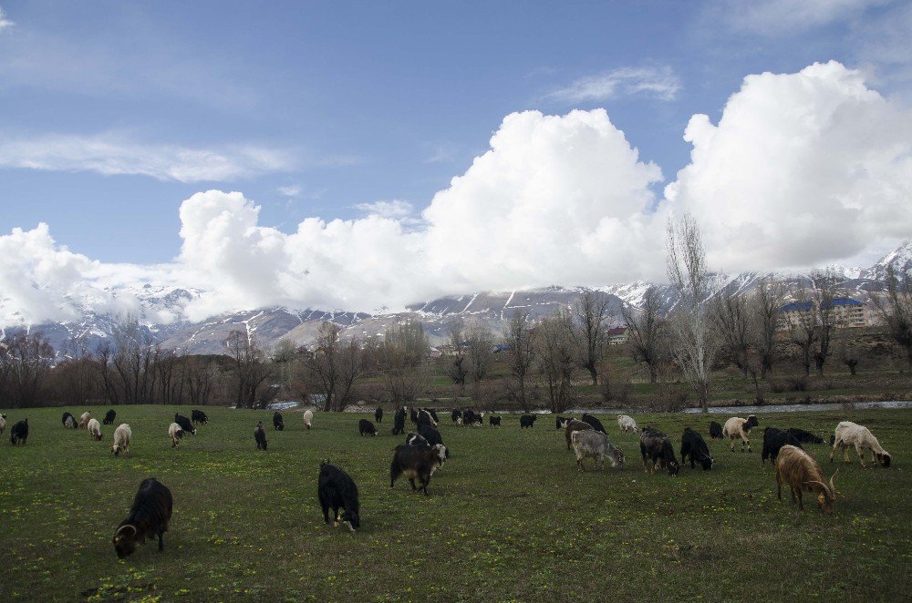 Ovacık’ta Bahar Ve Kış Bir Arada