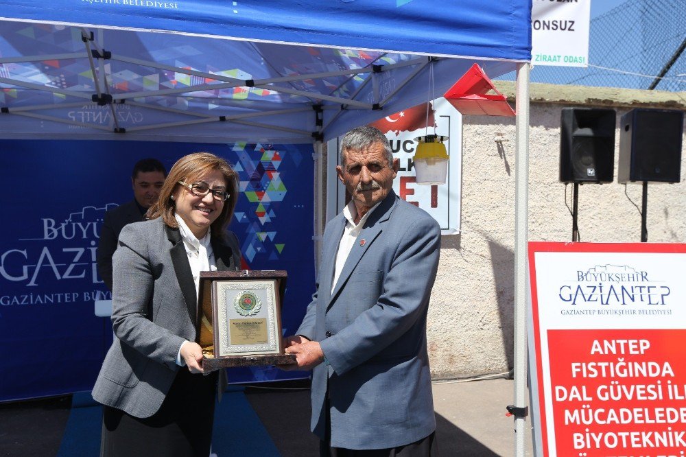 2 Bin Fıstık Üreticisine “Feromon Tuzaklama”