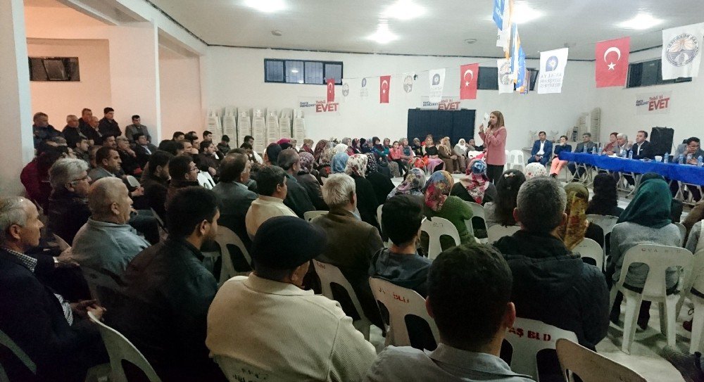 Halk Oylamasına Doğru