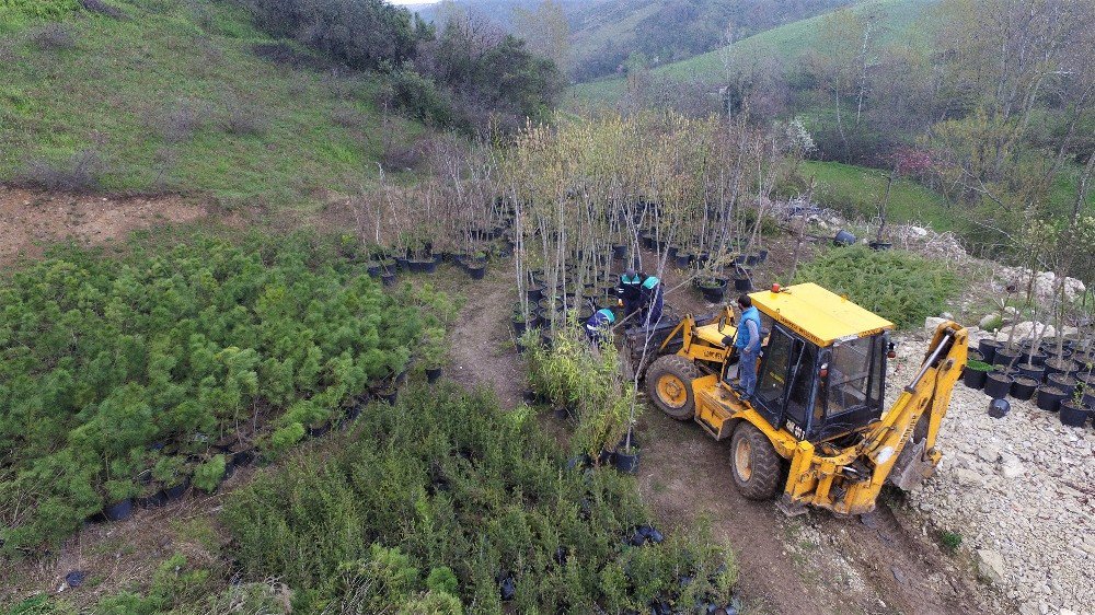 Başiskele’de Çevre Düzenlemesi Ve Peyzaj Çalışması