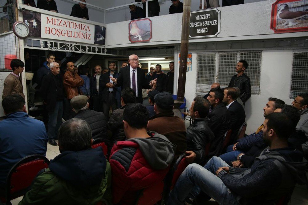 Başkan Kurt, Güvercin Severlere Güvercin Köy’ü Anlattı