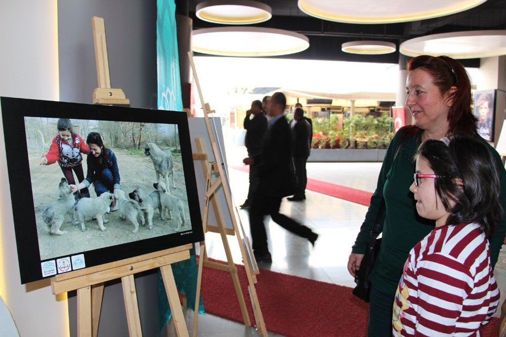 Can Dostlara Özel Fotoğraf Sergisi