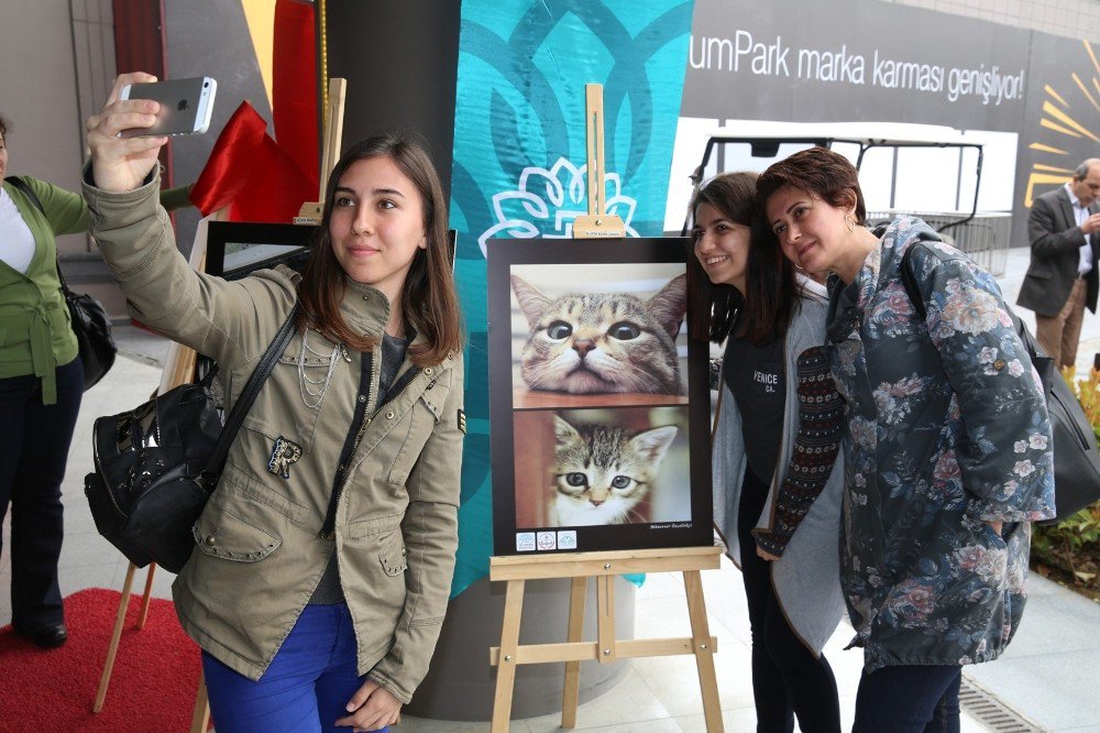 Can Dostlara Özel Fotoğraf Sergisi