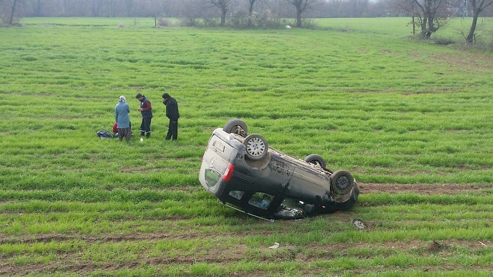 Kamyonet Buğday Tarlasına Devrildi: 1 Yaralı