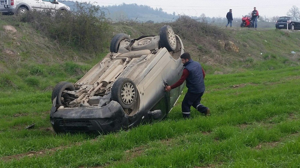 Kamyonet Buğday Tarlasına Devrildi: 1 Yaralı