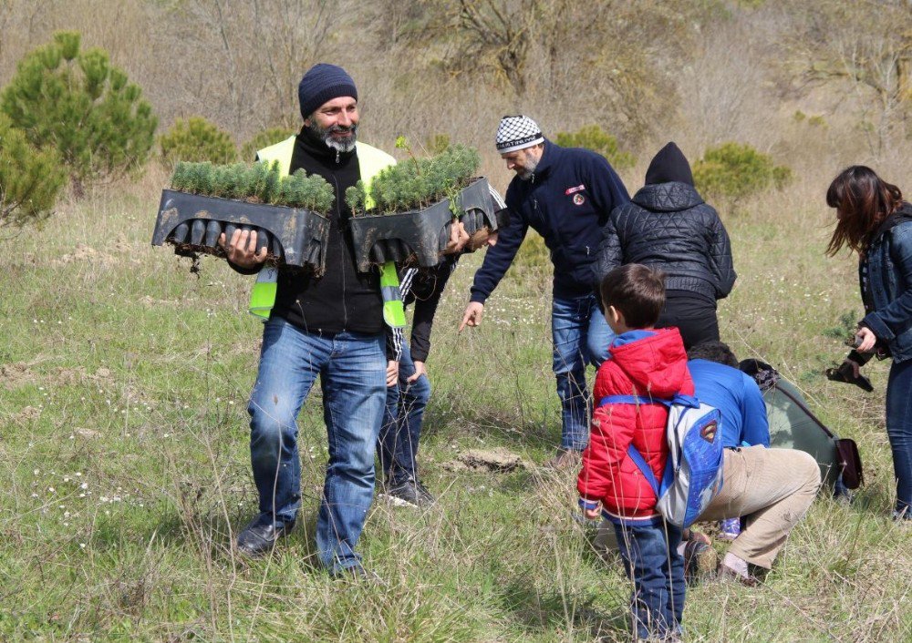 Çekud Ve Atikder Öncülüğünde 10 Bin Fidan Dikildi