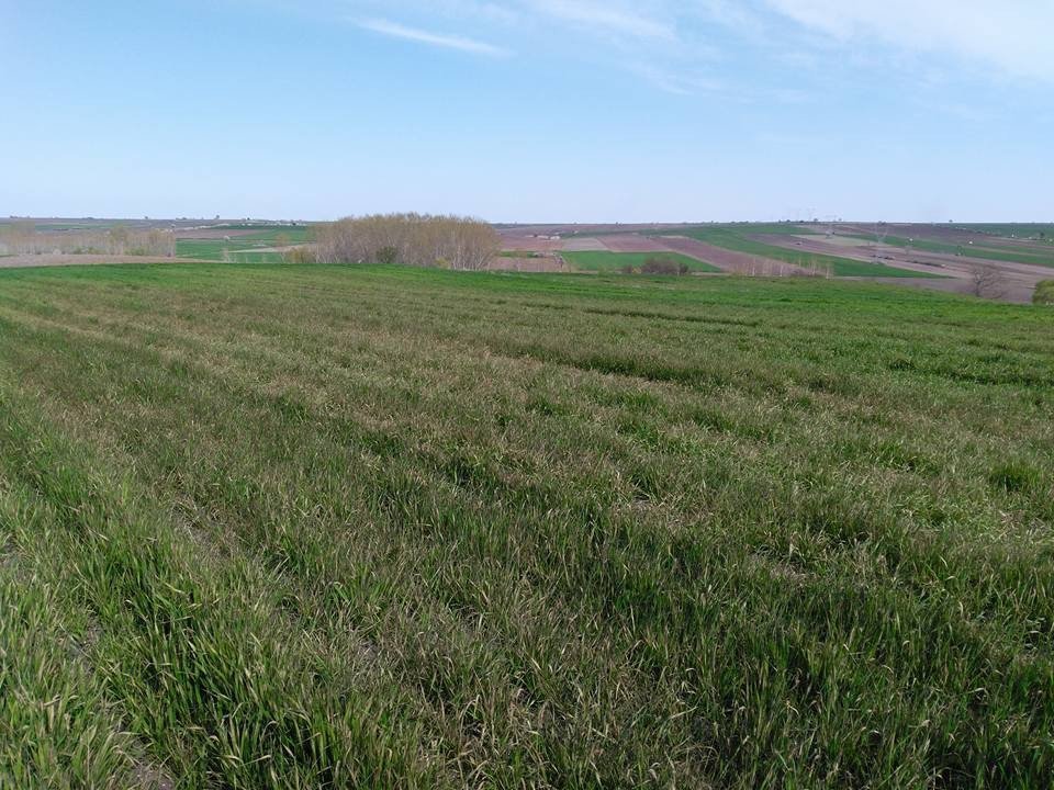 Edirne Çiftçisini Endişe Sardı