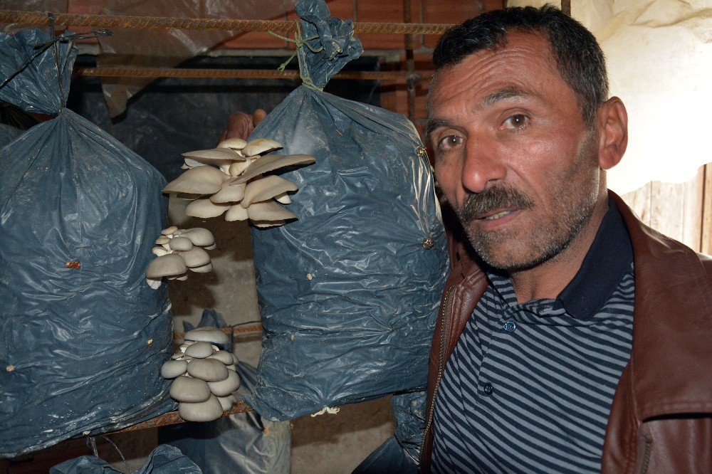 Ek Gelir Olsun Diye Başladı, Şimdi Para Basıyor