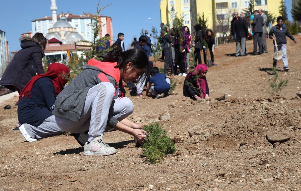 Elazığ’da Belediyesinden Fidan Dikme Etkinliği