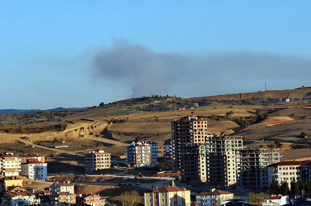 Tosya’da 4 Hektar Ormanlık Alan Yandı