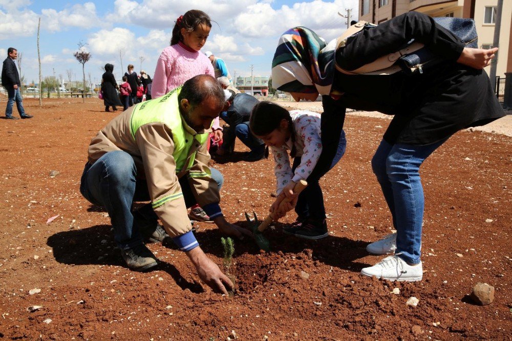 Minik Öğrenciler Diktikleri Fidanlarla Parkı Yeşillendirdi