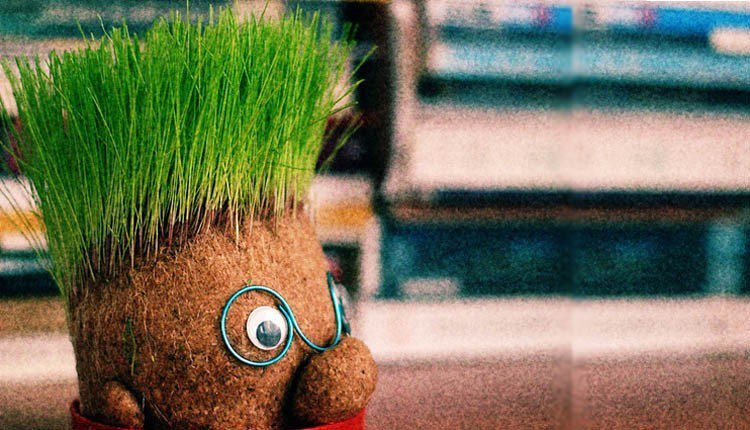 Minikler Çim Adam Yapmayı Öğrenecek