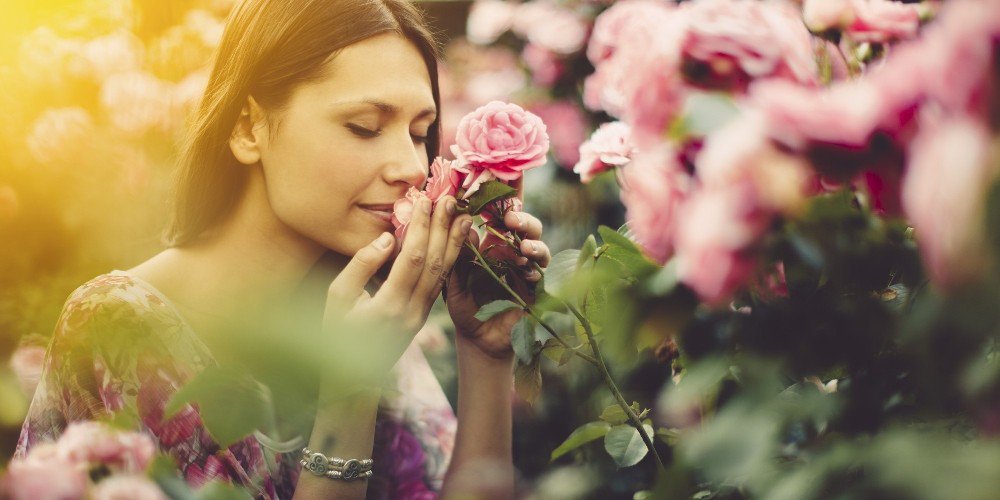Her Şey Geçer, Koku Kalır